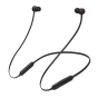 Earphones